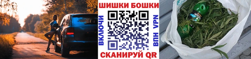 МЕФ Венёв