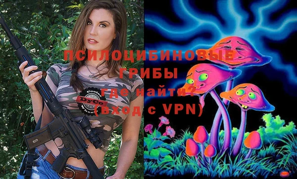 гашик Алексеевка