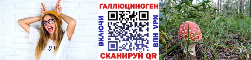где продают   Венёв  hydra сайт  Галлюциногенные грибы Psilocybe 
